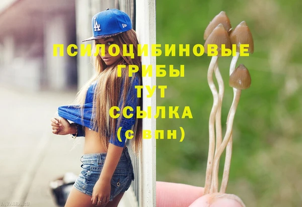 скорость Заводоуковск