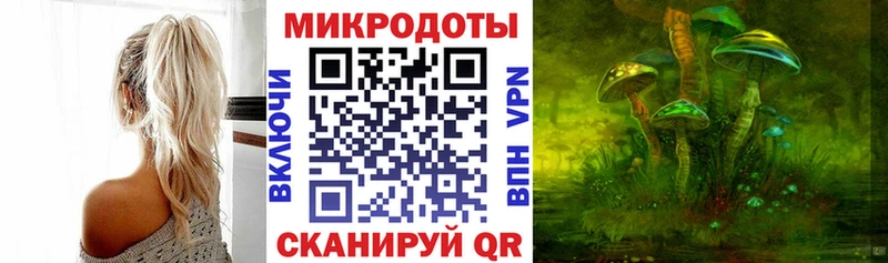 Купить  Александров  Псилоцибиновые грибы GOLDEN TEACHER 